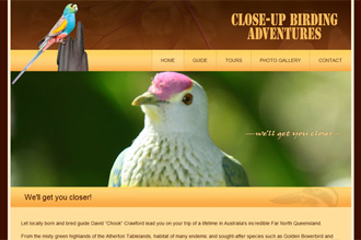 Close up Birding Adventures